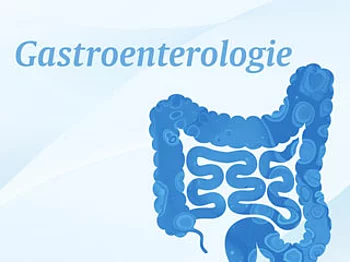 Fachgebiet Gastroenterologie - Darstellung eines Verdauungstrakts