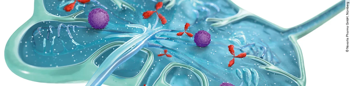 3D-Illustration eines Lympknoten. © Novartis