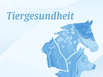 Schrift Tiergesundheit, daneben Logo mit Pferd, Katze und Hund in blau